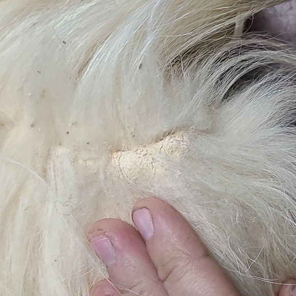 Vintage yak boots - Picture 10 of 11